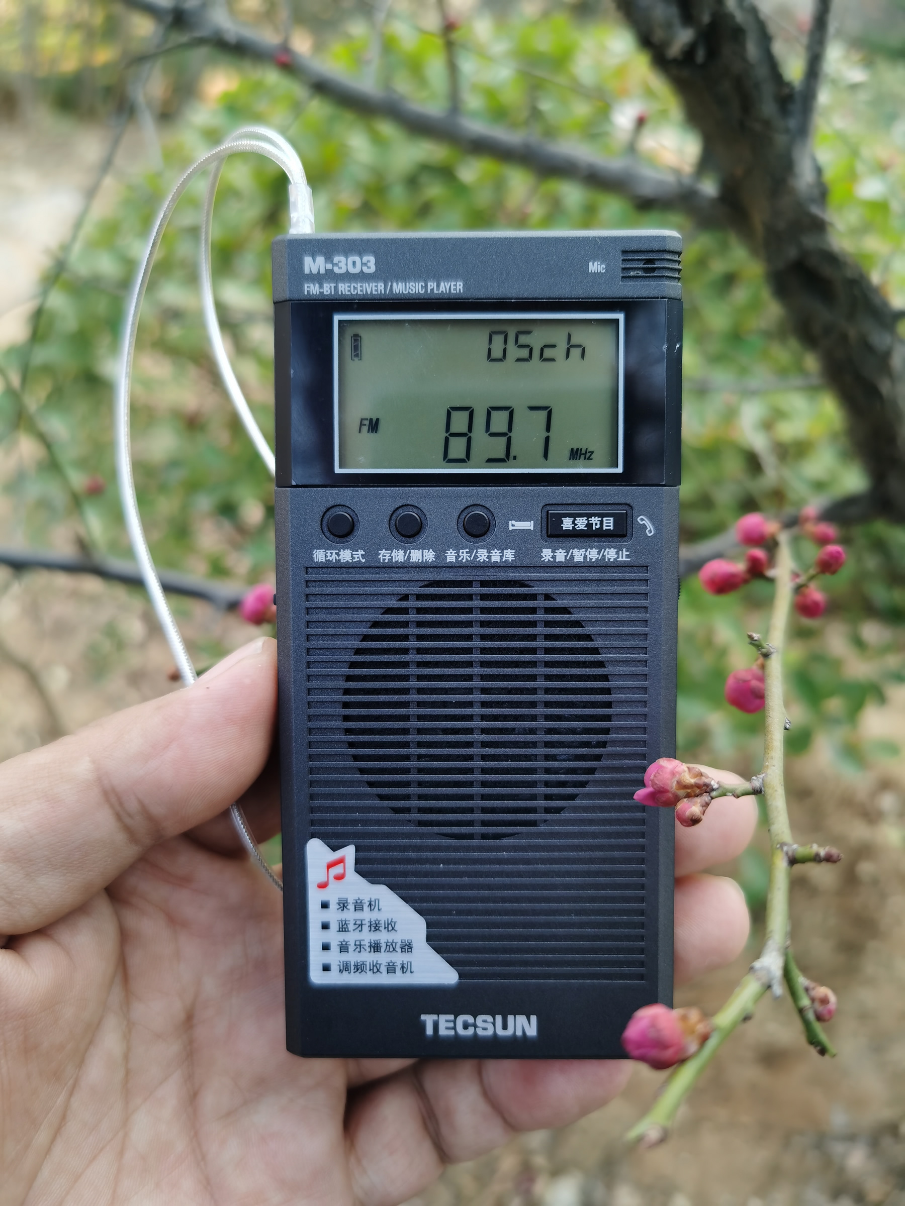 德生M303收音机